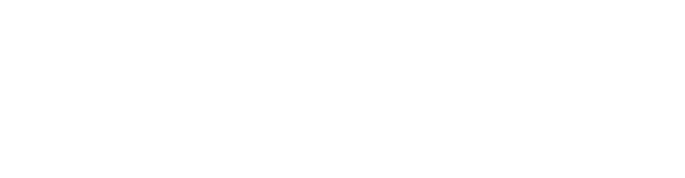 SouthVest Closerwerden original Logo Weiss transparent